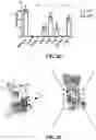 Fig. 08 - STRUCTURAL BASIS FOR OUTER MEMBRANE USHER ACTIVATION TO CATALYZE P PILUS ASSEMBLY