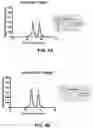 Fig. 09 - STRUCTURAL BASIS FOR OUTER MEMBRANE USHER ACTIVATION TO CATALYZE P PILUS ASSEMBLY
