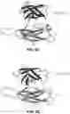 Fig. 13 - STRUCTURAL BASIS FOR OUTER MEMBRANE USHER ACTIVATION TO CATALYZE P PILUS ASSEMBLY