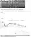 Fig. 02 - Pharmaceutical composition for sustained release delivery of buprenorphine