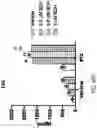 Fig. 71 - Methods and Compositions for Treating Cancer