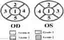 Fig. 01 - METHODS OF TREATING OCULAR CONDITIONS