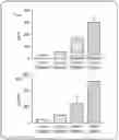 Fig. 01 - Treatment Regimens