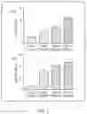 Fig. 03 - Treatment Regimens