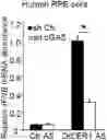 Fig. 01 - COMPOSITIONS AND METHODS FOR TREATING AGE-RELATED MACULAR DEGENERATION AND GEOGRAPHIC ATROPHY