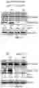 Fig. 05 - COMPOSITIONS AND METHODS FOR TREATING AGE-RELATED MACULAR DEGENERATION AND GEOGRAPHIC ATROPHY
