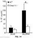Fig. 06 - COMPOSITIONS AND METHODS FOR TREATING AGE-RELATED MACULAR DEGENERATION AND GEOGRAPHIC ATROPHY