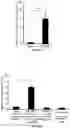 Fig. 31 - COMPOSITIONS AND METHODS FOR TREATING AGE-RELATED MACULAR DEGENERATION AND GEOGRAPHIC ATROPHY