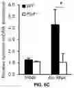 Fig. 32 - COMPOSITIONS AND METHODS FOR TREATING AGE-RELATED MACULAR DEGENERATION AND GEOGRAPHIC ATROPHY