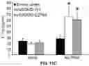 Fig. 56 - COMPOSITIONS AND METHODS FOR TREATING AGE-RELATED MACULAR DEGENERATION AND GEOGRAPHIC ATROPHY