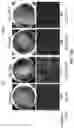 Fig. 65 - COMPOSITIONS AND METHODS FOR TREATING AGE-RELATED MACULAR DEGENERATION AND GEOGRAPHIC ATROPHY