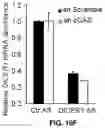 Fig. 69 - COMPOSITIONS AND METHODS FOR TREATING AGE-RELATED MACULAR DEGENERATION AND GEOGRAPHIC ATROPHY