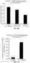 Fig. 77 - COMPOSITIONS AND METHODS FOR TREATING AGE-RELATED MACULAR DEGENERATION AND GEOGRAPHIC ATROPHY