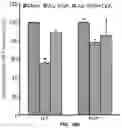 Fig. 80 - COMPOSITIONS AND METHODS FOR TREATING AGE-RELATED MACULAR DEGENERATION AND GEOGRAPHIC ATROPHY