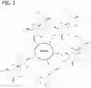 Fig. 03 - Iron-polysaccharide complexes and methods for the preparation thereof