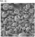 Fig. 11 - Iron-polysaccharide complexes and methods for the preparation thereof