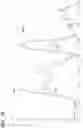 Fig. 15 - Iron-polysaccharide complexes and methods for the preparation thereof