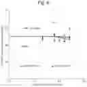 Fig. 06 - Combination therapy for treatment of leukemia