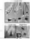 Fig. 07 - Methods and compositions to modulate hair growth