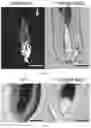 Fig. 08 - Methods and compositions to modulate hair growth