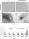 Fig. 10 - Methods and compositions to modulate hair growth