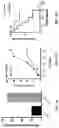 Fig. 08 - Engineered phagocytic receptor compositions and methods of use thereof