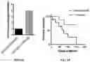 Fig. 14 - Engineered phagocytic receptor compositions and methods of use thereof