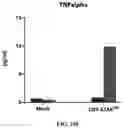 Fig. 24 - Engineered phagocytic receptor compositions and methods of use thereof