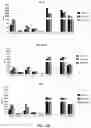 Fig. 30 - Engineered phagocytic receptor compositions and methods of use thereof