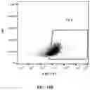 Fig. 35 - Engineered phagocytic receptor compositions and methods of use thereof