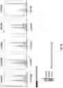 Fig. 03 - Prostate-specific membrane antigen cars and methods of use thereof