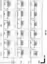 Fig. 10 - Prostate-specific membrane antigen cars and methods of use thereof