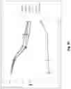 Fig. 11 - Prostate-specific membrane antigen cars and methods of use thereof