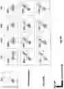 Fig. 13 - Prostate-specific membrane antigen cars and methods of use thereof