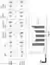 Fig. 18 - Prostate-specific membrane antigen cars and methods of use thereof