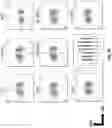 Fig. 24 - Prostate-specific membrane antigen cars and methods of use thereof