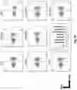 Fig. 25 - Prostate-specific membrane antigen cars and methods of use thereof