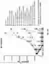 Fig. 41 - Prostate-specific membrane antigen cars and methods of use thereof