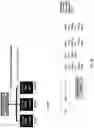 Fig. 54 - Prostate-specific membrane antigen cars and methods of use thereof