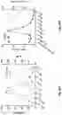 Fig. 59 - Prostate-specific membrane antigen cars and methods of use thereof