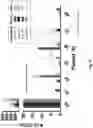 Fig. 60 - Prostate-specific membrane antigen cars and methods of use thereof