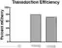Fig. 01 - Compositions and methods for targeting CLEC12A-expressing cancers