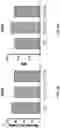 Fig. 07 - Compositions and methods for targeting CLEC12A-expressing cancers