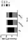Fig. 08 - Compositions and methods for targeting CLEC12A-expressing cancers