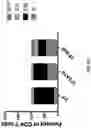 Fig. 10 - Compositions and methods for targeting CLEC12A-expressing cancers