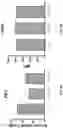 Fig. 11 - Compositions and methods for targeting CLEC12A-expressing cancers