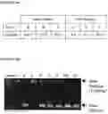Fig. 04 - Stem cell subpopulations with differential GSTT1 expression or genotype