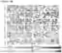Fig. 32 - Stem cell subpopulations with differential GSTT1 expression or genotype