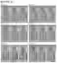 Fig. 33 - Stem cell subpopulations with differential GSTT1 expression or genotype