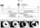 Fig. 08 - METHOD FOR PRODUCING CELL MASS INCLUDING PITUITARY TISSUE, AND CELL MASS THEREOF